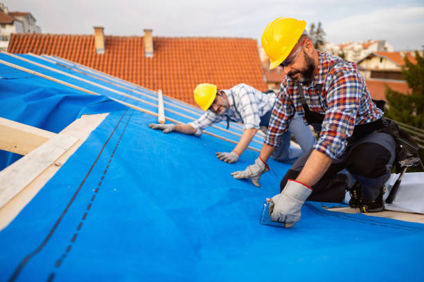 Best Rubber Roofing (EPDM, TPO)  in Wharton, NJ